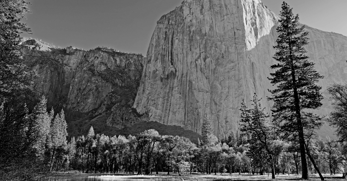 Expert National SEO Services