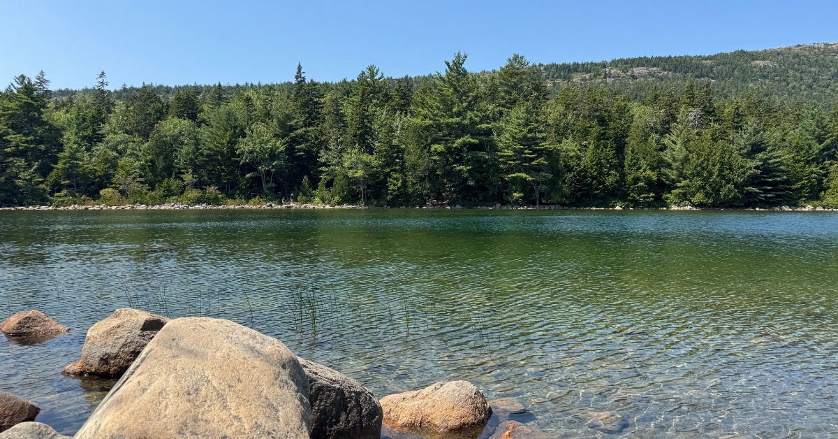 National SEO Services for CT and NY businesses